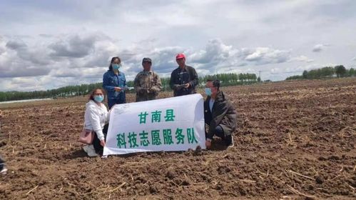 甘南县人民政府