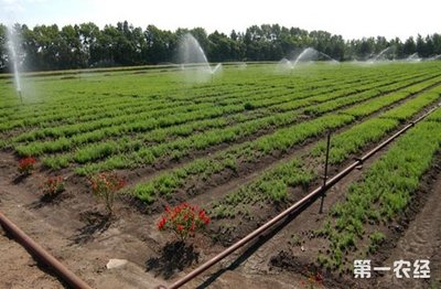 陕西安康开展农业科技承包服务 - 科技资讯 - 第一农经网