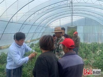 河北张家口市下花园区科技扶贫培训先行