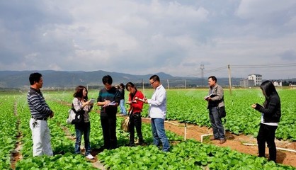 小农户如何生存?这5种模式推荐给你