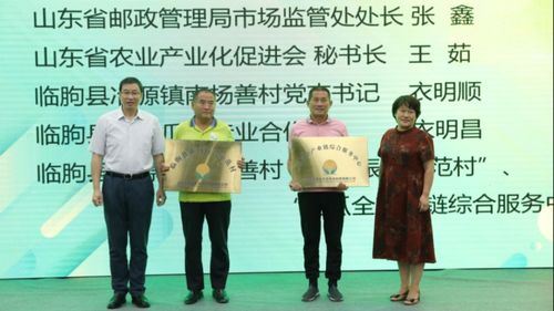 电商 物流 农特产,山东打造乡村振兴数字化创新模式