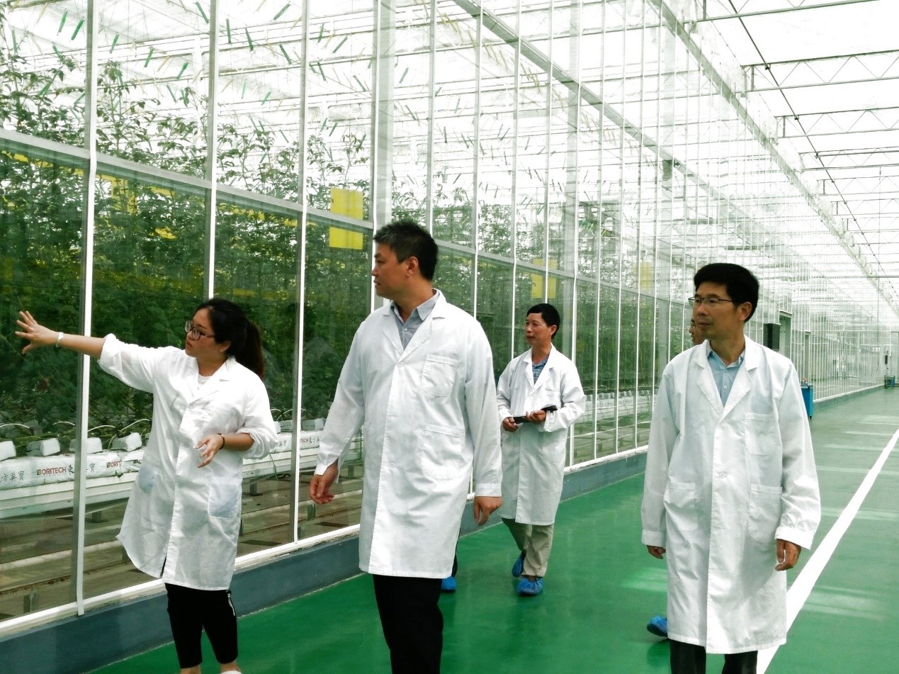 信息技术服务三农的实践者——建院60周年农业科技先进工作.