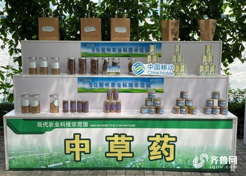 央视点赞新泰智慧光伏农业 山东移动助力激活乡村振兴新动能