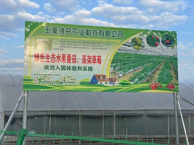红塔区政府信息公开