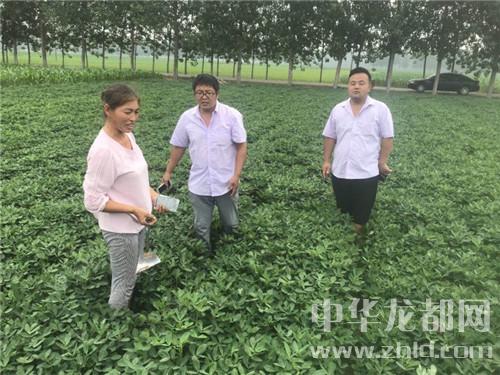 西华 农业科技人员田间地头忙扶贫