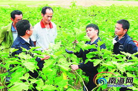 十年一鸣海南农业科技110 鸟枪换炮 惠农民
