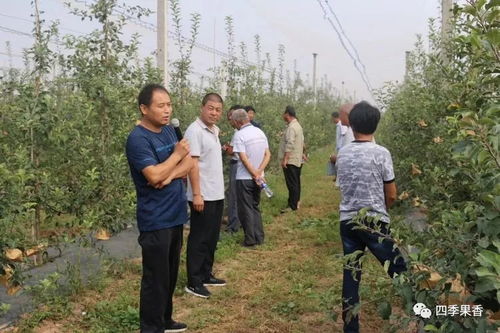 白水县四季香农业科技服务公司肥水一体化推广及中农液体肥示范园观摩活动圆满成功
