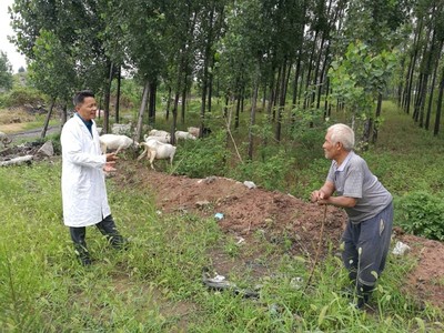 平顶山石龙区强化科技服务 助推农业增效农民增收