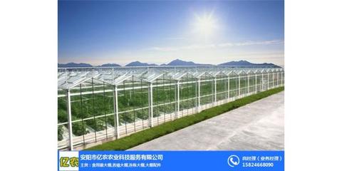 钢架大棚厂_河北钢架大棚_亿农农业