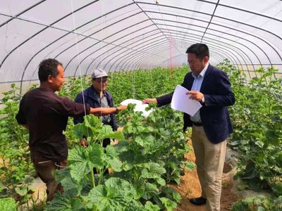 【千阳县农业农村局】科技入园优服务 结出惠农"幸福果"