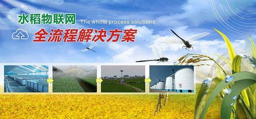 中外农业大数据企业对垒,谁能更胜一筹?