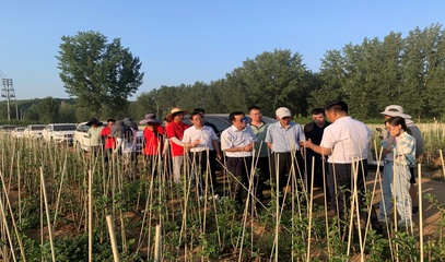 河南省果蔬产业科技特派员服务团(睢县)调研洛宁苹果产业并开展科技服务