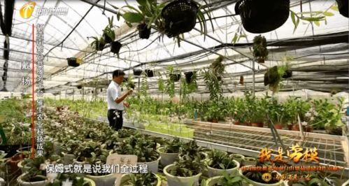 我是劳模丨南繁 保姆 戴扬 打造南繁公共服务平台 催生更多更好的农业科技成果