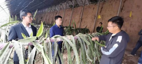 第91批中国博士后科技服务团走进山西天镇