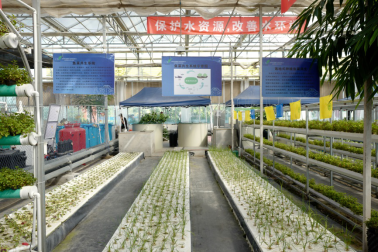 【云参观回看】相约北京国际都市农业科技节!感受不一样的农业“水科技”(中农天陆)