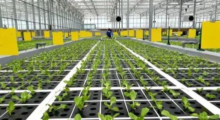 【农业科技】新一代智慧农业技术应用展望