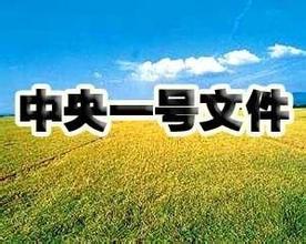 电商下乡 支付方式如何改善