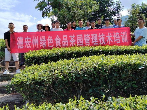 德宏州茶技站组织开展茶叶科技培训