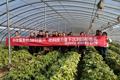 滦州市科协开展科技下乡助农服务活动