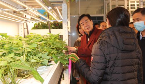 政府 旅游 慈善多位行业领导莅临上蔬源参观考察