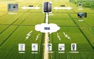 未来农业科技畅想曲:植物工厂、智慧农业、功能食品