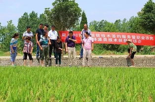 六月图片精选 上