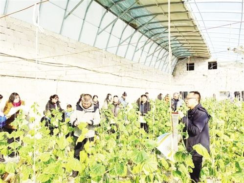 瓜州 农业技术培训忙