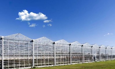 延安薄膜温室大棚建造天津温室大棚钢管