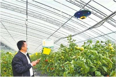 农村发家致富,新农业科技助力乡村振兴