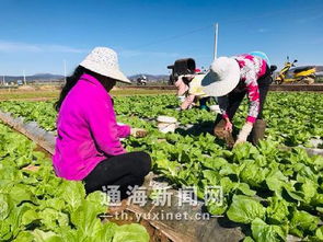 创新工作服务模式 打造绿色食品基地
