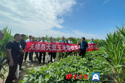 无棣县科技特派员送“技”到田间,助力农业科技服务升级