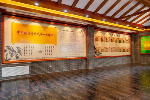 冰雪奇缘在吉林 冬季遛娃的农业科技之旅