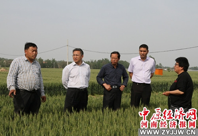 河南农业大学 科技套餐送达田间地头,精准服务助推乡村振兴