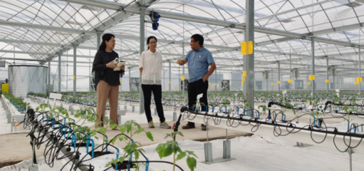 河南省科技支撑乡村振兴工作网 农业科技服务赋能乡村发展