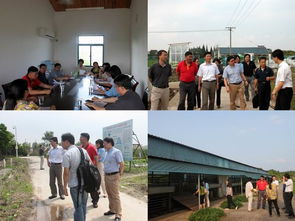 我院科研处与上海市农业科技服务中心开展党建双结对活动，共促农业科技服务发展