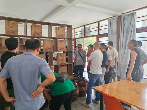 德宏州茶技站开展茶叶科技培训，助力农业科技服务