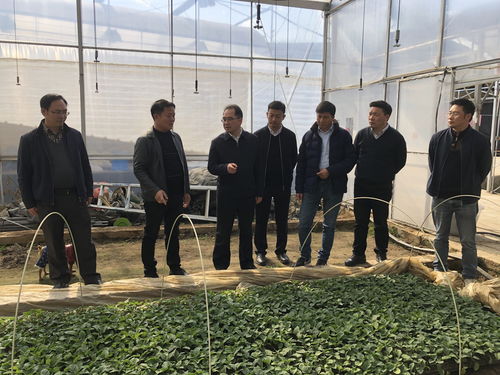 四川省农业科学院牟锦毅院长赴西昌市与米易县调研 深化科技帮扶助力乡村振兴