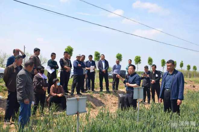 科技特派员赋能滨州田野，精准服务播撒乡村振兴新希望